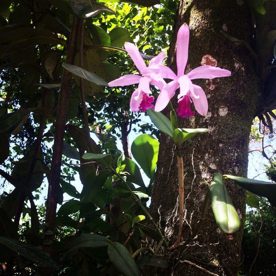 Canto Da Lagoa Ibiraquera Ξενοδοχείο Imbituba Εξωτερικό φωτογραφία